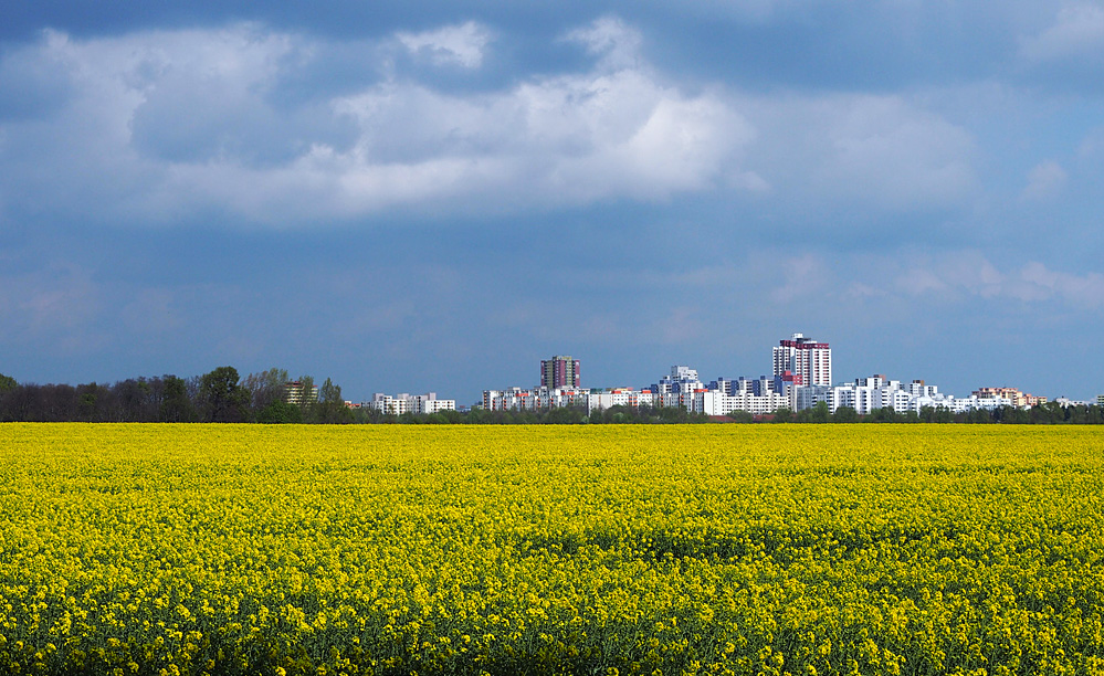 südliche Berliner Skyline, Tempelhof (Marienfelde)