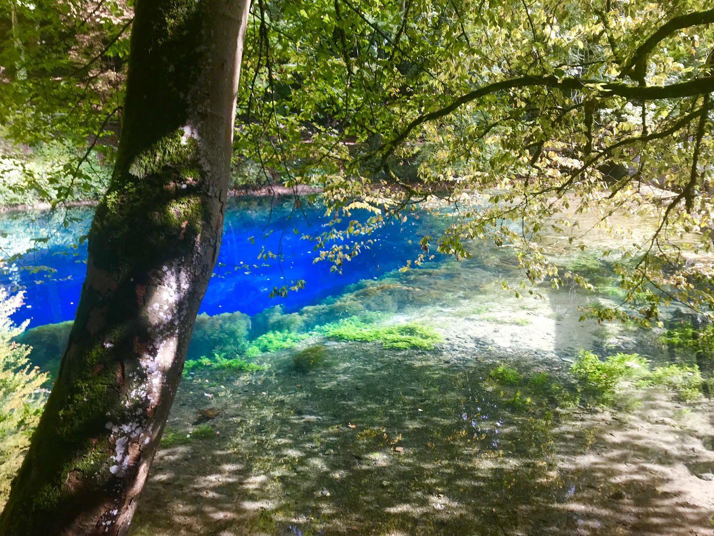 Südliche Impressionen am Blautopf 