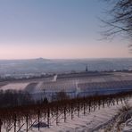 Südliche Weinstrasse -Ein Wintermärchen