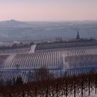 Südliche Weinstrasse-Gleisweiler