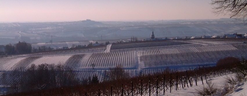 Südliche Weinstrasse-Gleisweiler