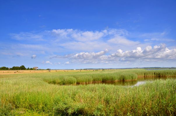 Südlichen Dorf Insel Hiddensee