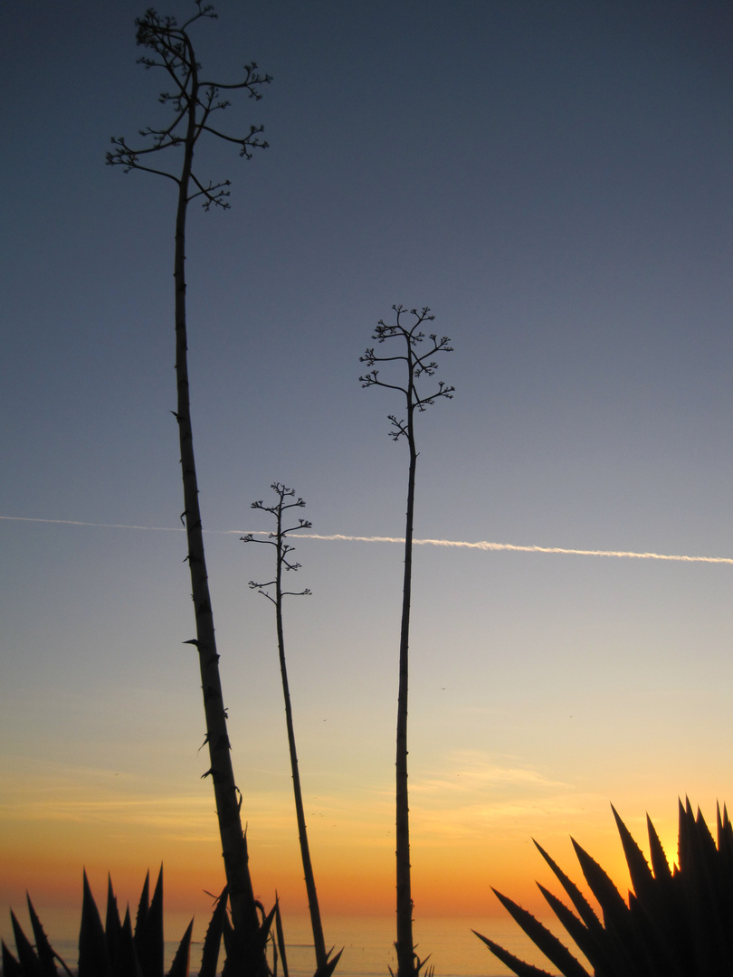 Südlicher Himmel