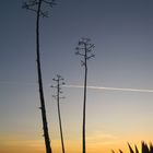 Südlicher Himmel