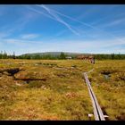 Südlicher Kungsleden - Start in Storlien/Storvallen