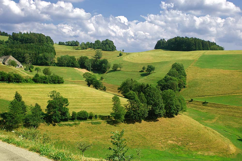 südlicher Schwarzwald bei Lörach