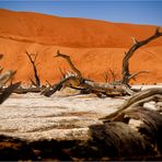 Südliches Afrika [01] – Sossusvlei