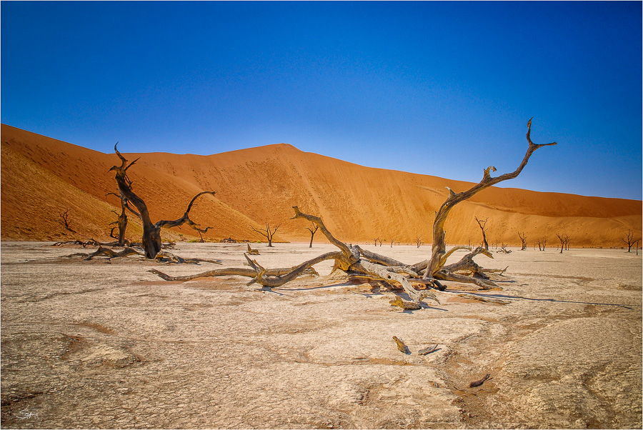 Südliches Afrika [04] – Dead Vlei