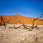 Südliches Afrika [04] – Dead Vlei