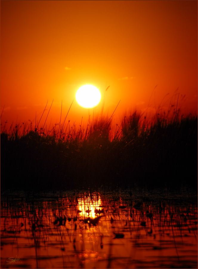 Südliches Afrika [10] – Sonnenuntergang im Delta