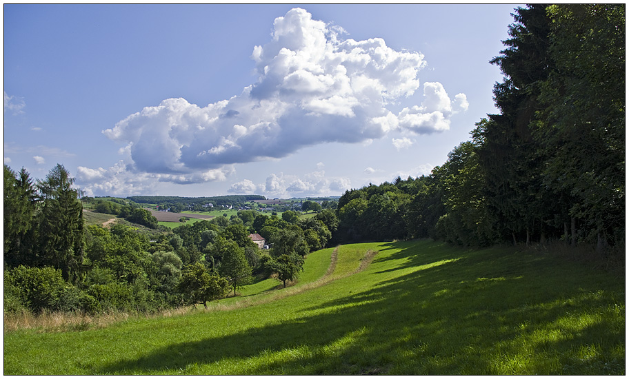 Südliches Moseltal