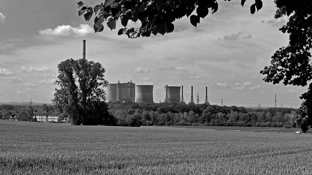 Südliches Münsterland nördlich der Lippe: "Agriculture meets energy"