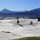 Südliches Ostallgäu!