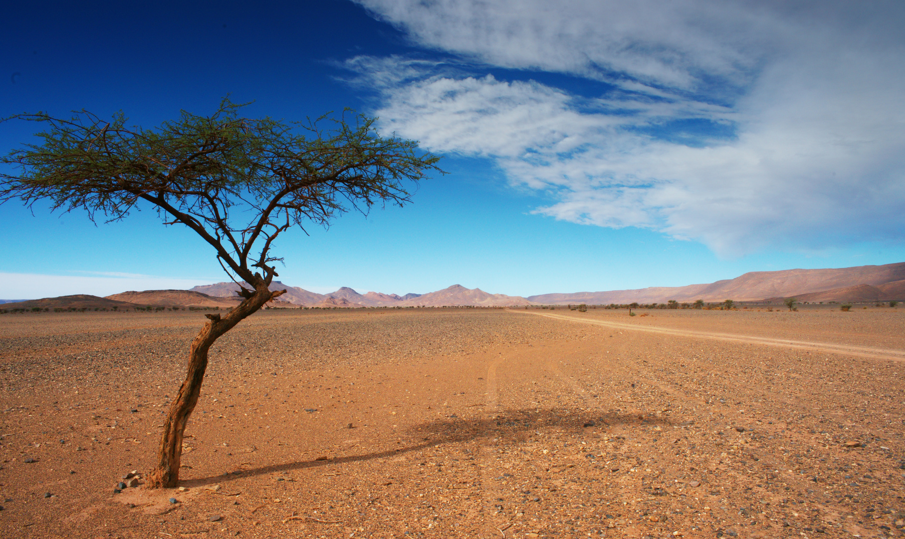 Südmarokko in der Sahara