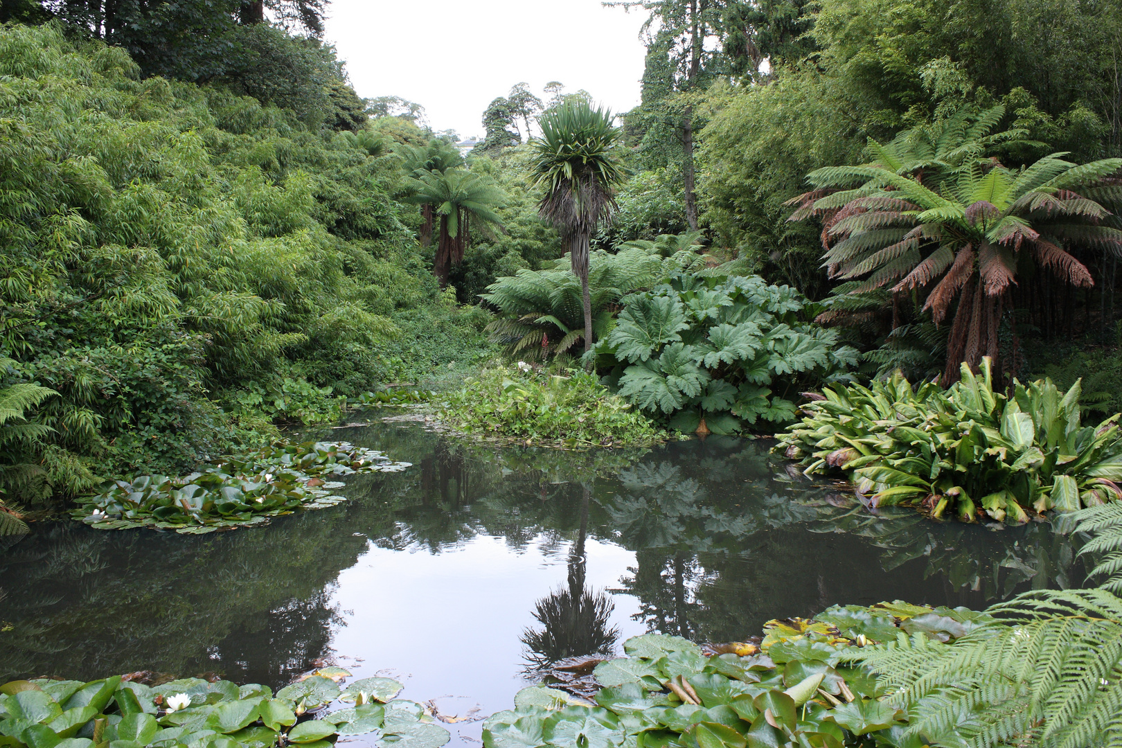 Südostasien? Nein Lost Gardens of Heligan in Cornwall