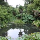 Südostasien? Nein Lost Gardens of Heligan in Cornwall