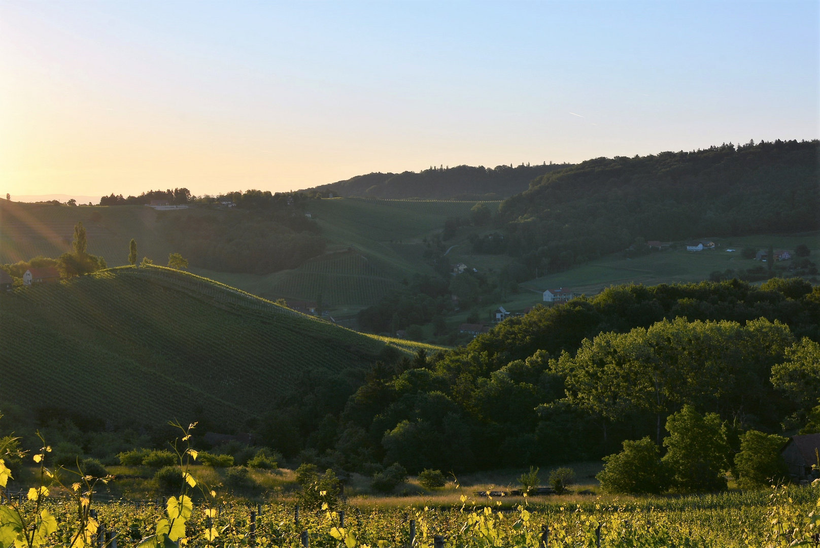 Südoststeirische Weinstrasse