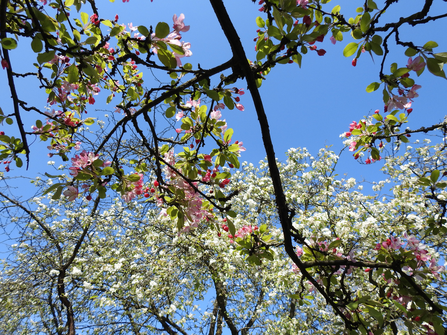 Südpark Düsseldorf