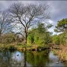 Südpark Düsseldorf