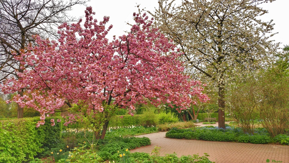 Südpark Düsseldorf