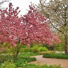 Südpark Düsseldorf