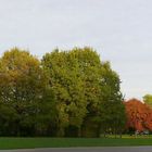 Südpark in Herbstfarben