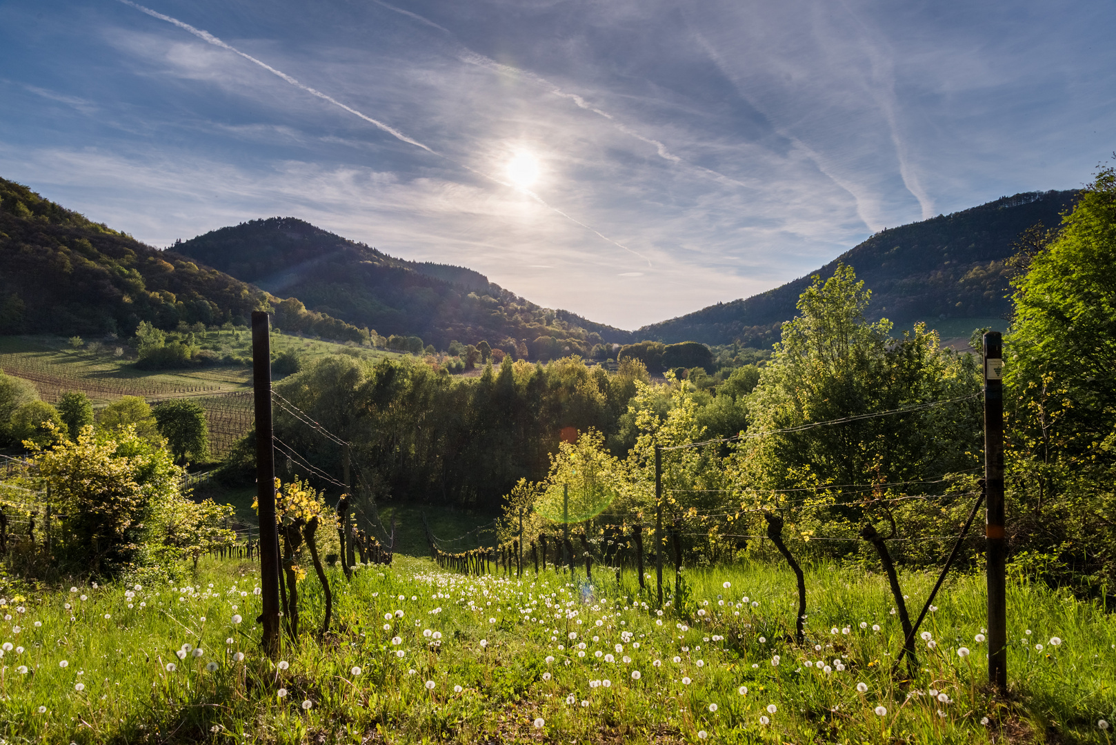 Südpfalz