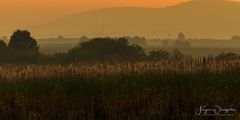 Südpfalz im letzten Sonnenlicht