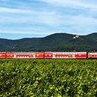 Südpfalz Panorama