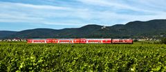 Südpfalz Panorama