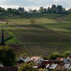 Südpfalz - Toskana Deutschlands