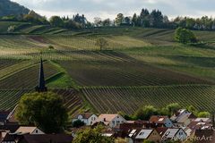 Südpfalz - Toskana Deutschlands