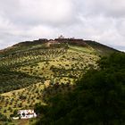 Südportugal, im Frühling noch einigermaßen grün