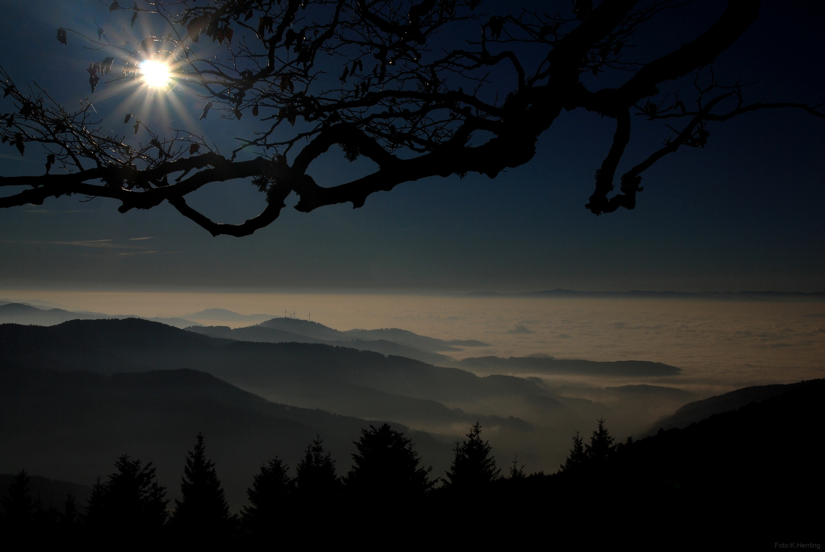 Südschwarzwald 2