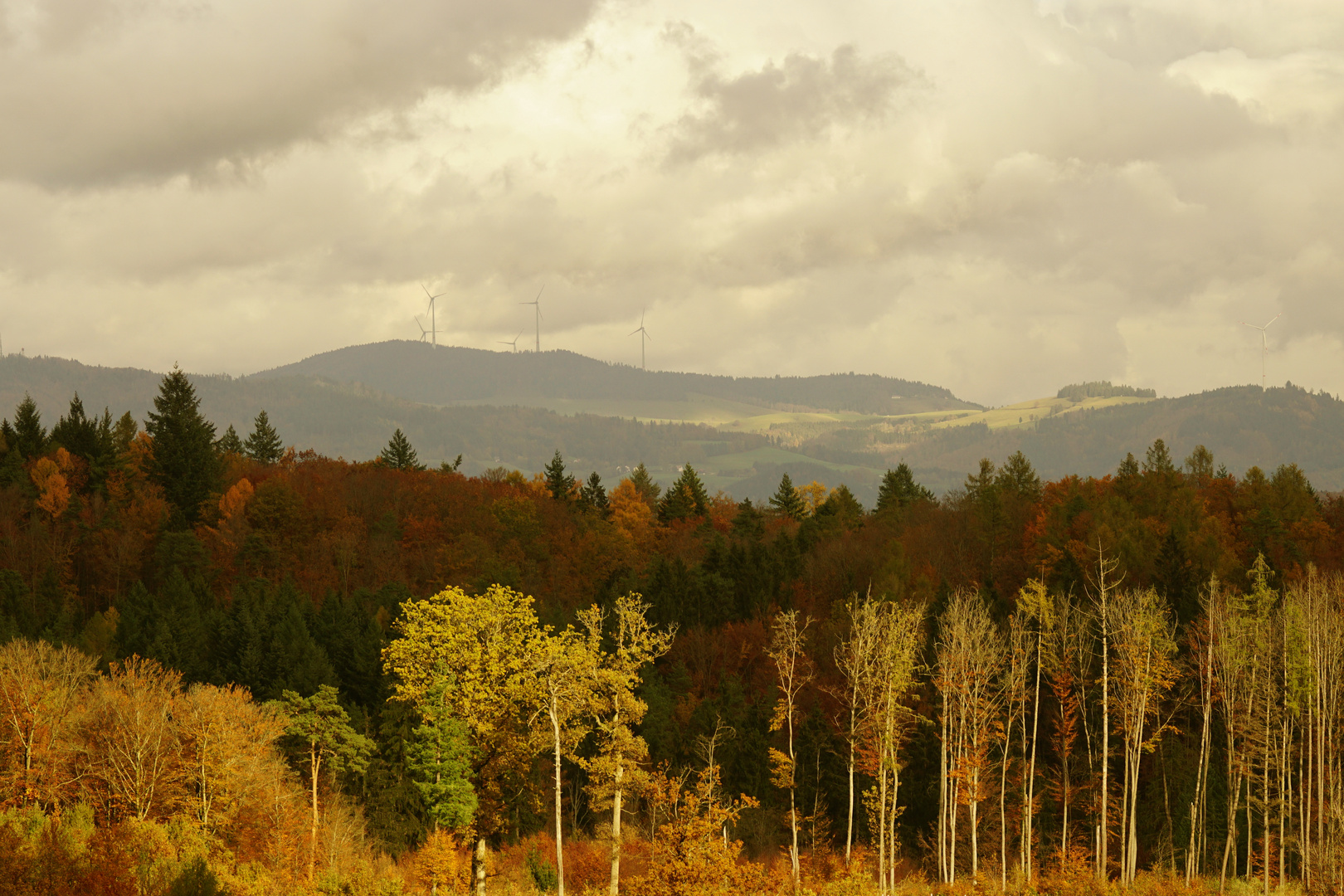 Südschwarzwald