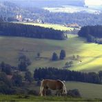 Südschwarzwald