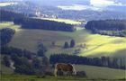 Südschwarzwald by Karl Herrling