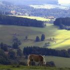 Südschwarzwald