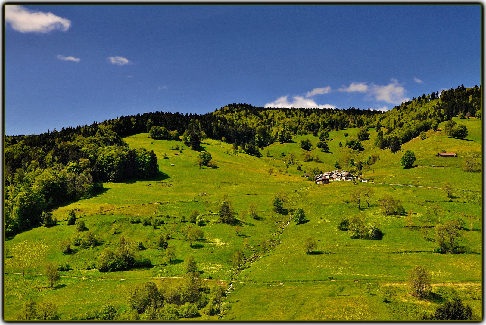 Südschwarzwald