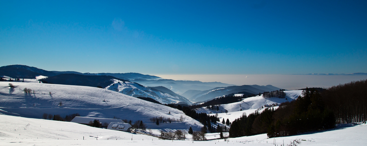 Südschwarzwald