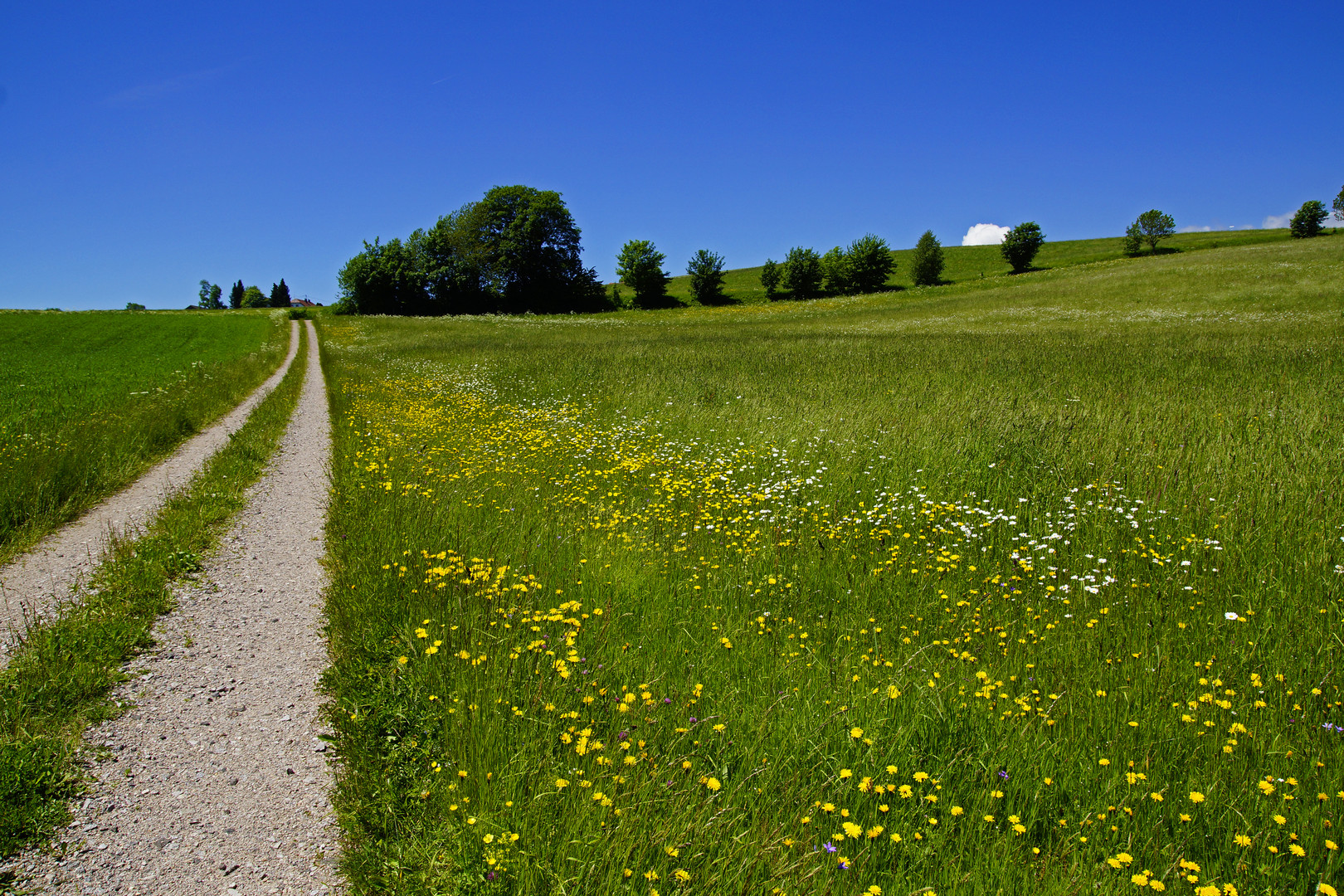 Südschwarzwald