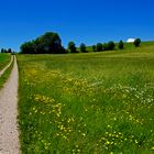 Südschwarzwald