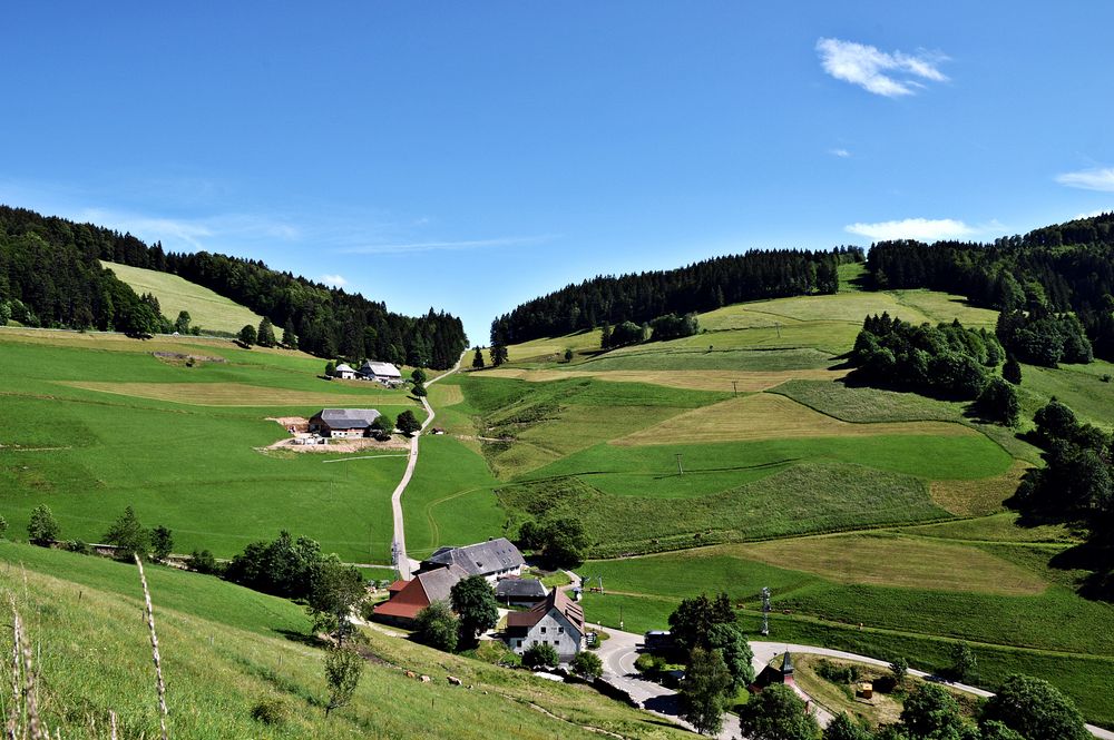 Südschwarzwald: Am Wiedener Eck