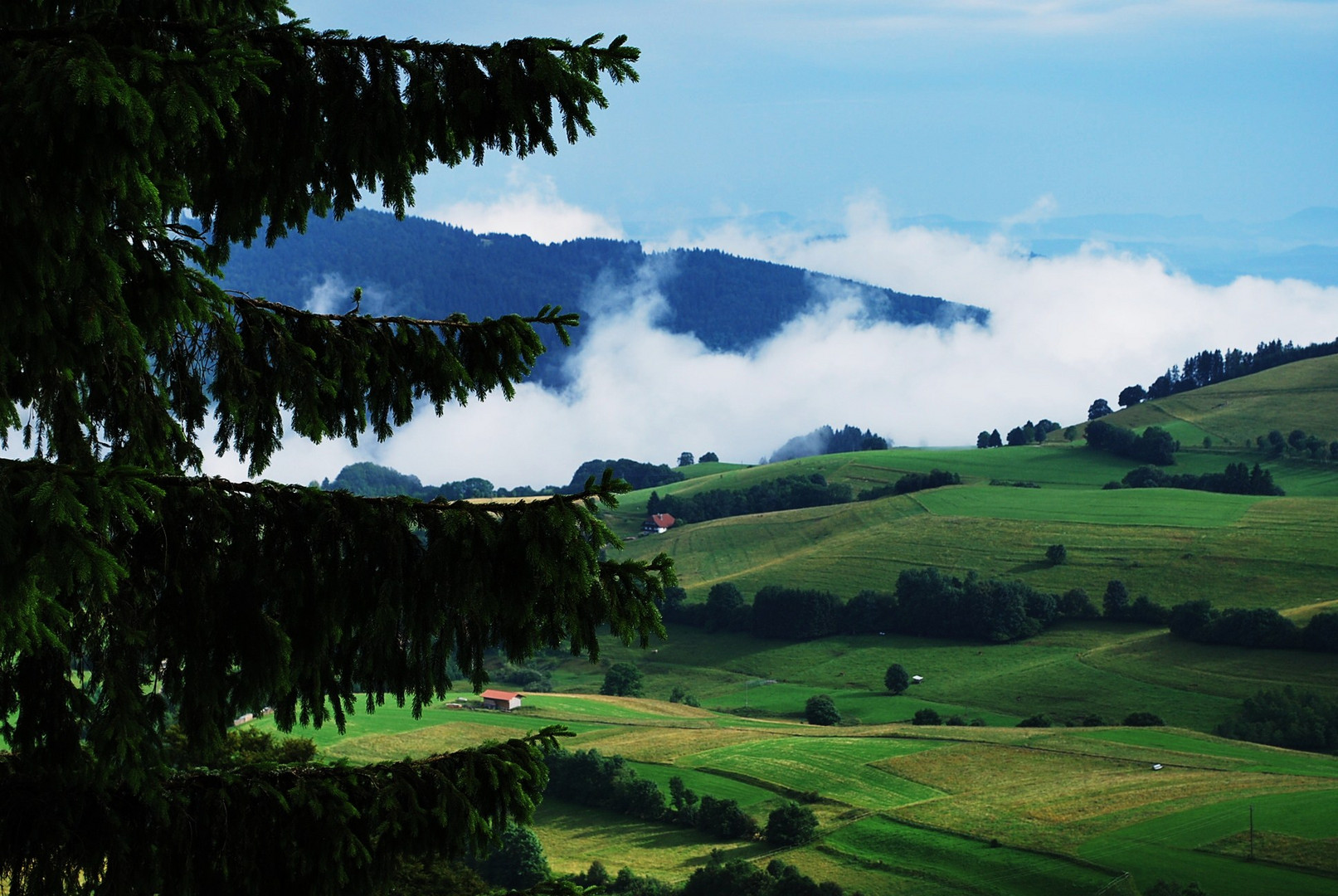 Südschwarzwald