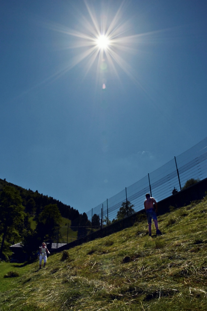 Südschwarzwald: Bergbauern beim Heuen