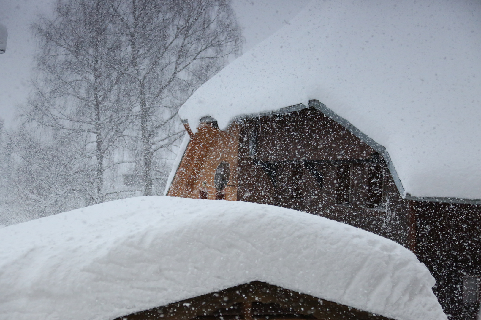 Südschwarzwald, Bernau im Schneegestöber