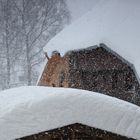 Südschwarzwald, Bernau im Schneegestöber