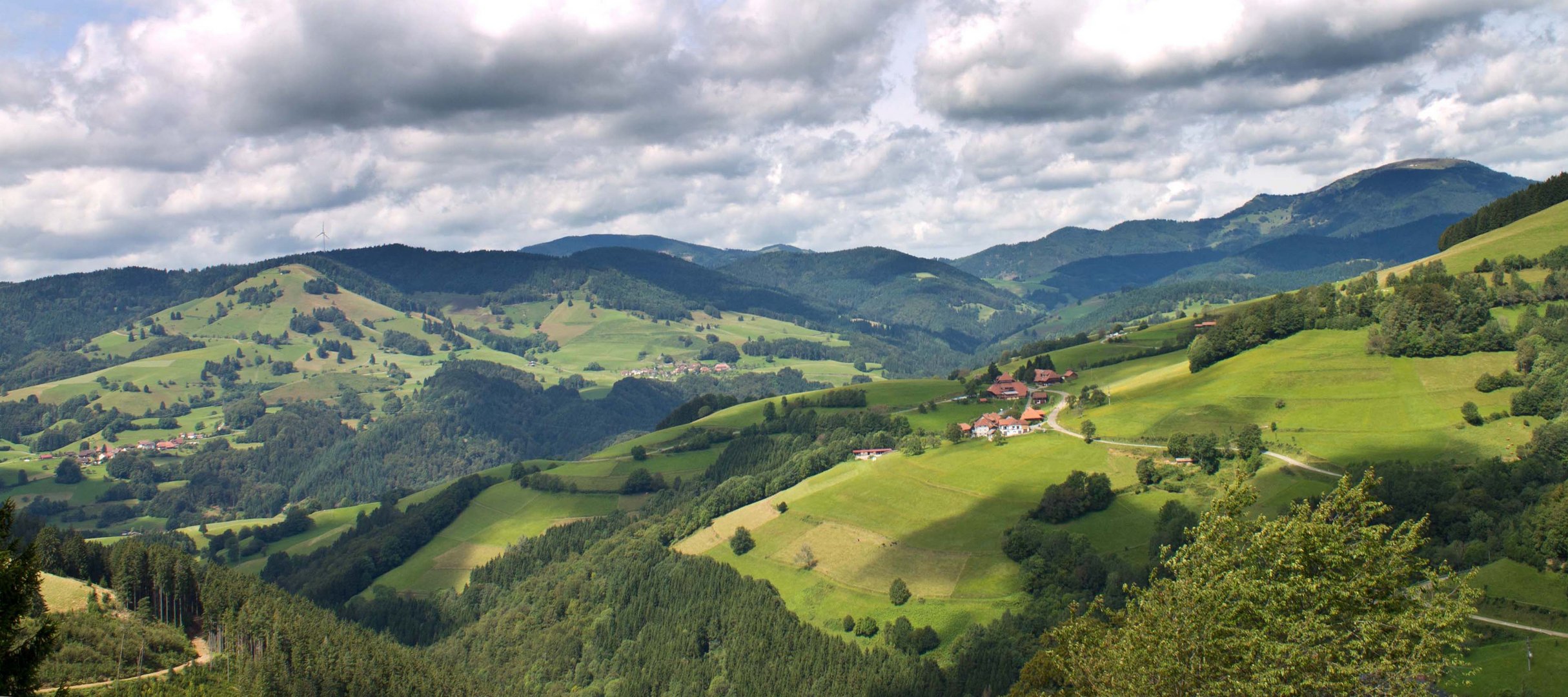 Südschwarzwald