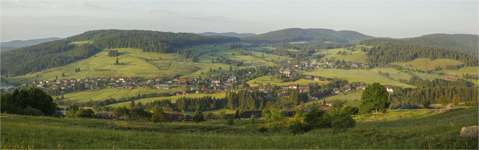 Südschwarzwald