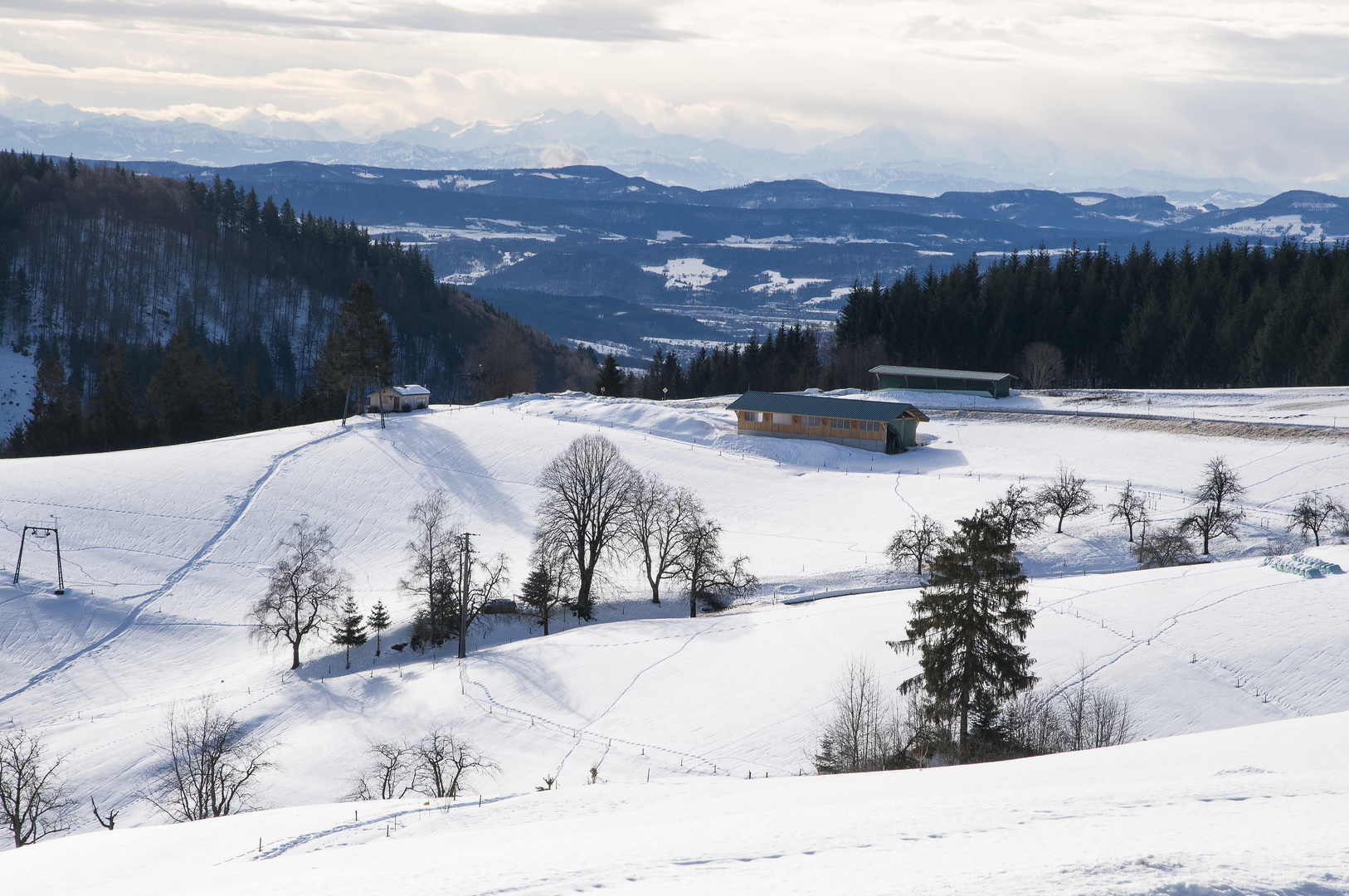 Südschwarzwald DSC_7132